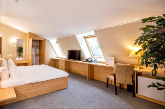 Aura Aquarelle Hotel のホテル
