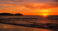 Ocean Beach Wainui - Beach