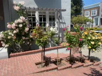 My Rosegarden Guest Rooms - Beach