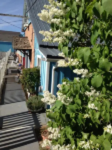 シュガーローフ マウンテン モーテル ストーリーのホテル