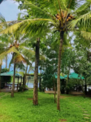 Vista Al Rio Hotels in 