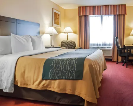 Quality Inn Hotels in Rio Rancho