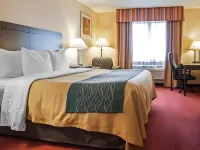 Quality Inn Hotels in Corrales