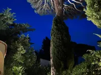 Maison d'Orange - la Pinede Hotels in Saint-Tropez