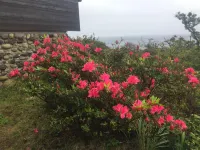 Yakushima Umi-No Cottage Tida - Romantic