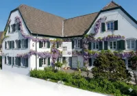 Rhein River Guesthouse - Direkt am Rhein - สัตว์เลี้ยง