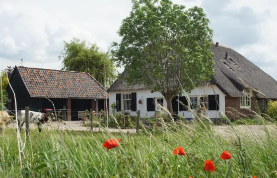 博薩克住宿加早餐旅館