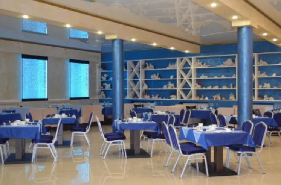 Голд Шарк Шереметьево