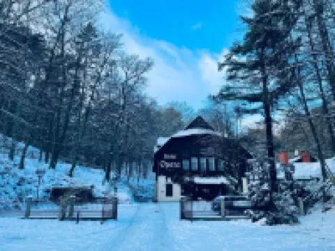 Hotel Opera Hotels in Sopot