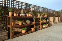 Treetops Guesthouse Отели в г. 