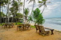 Surfing Tusker - Thalpe - Ocean View