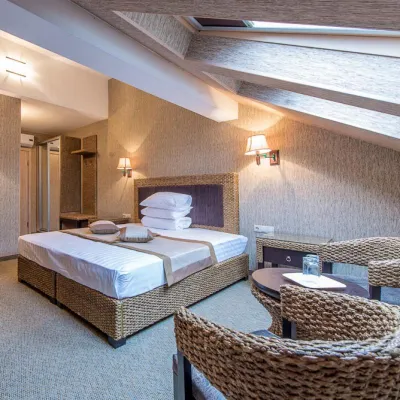 La Terrassa Spa Hotel Hotels near Shayba Arena