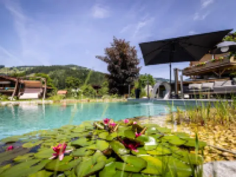 Landhaus Rustika Hotels in Wagrain