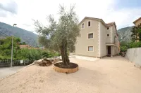 Apartments Olive Hotels in Dobrota