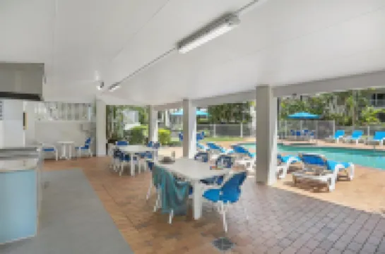 ชิโดรี คอร์ท