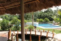 Axkan Palenque, Albercas, Gastronomia Mar y Tierra & Travel Agency - Pools