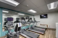 Holiday Inn Express & Suites OSHKOSH-SR 41 by IHG - Gym