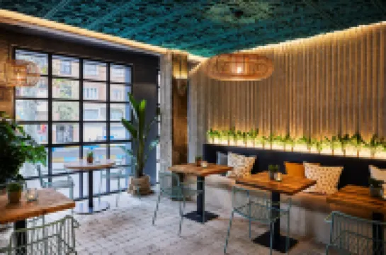 馬德里英迪格飯店-普林塞薩