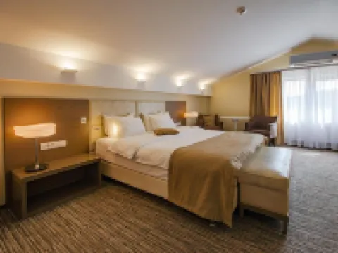 Sova Park-Hotel Hotels in Ryazan