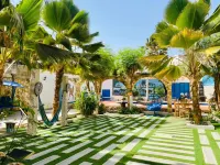 Hotel Mimosa Airport - 2-Star