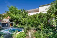 Apartments Elvira