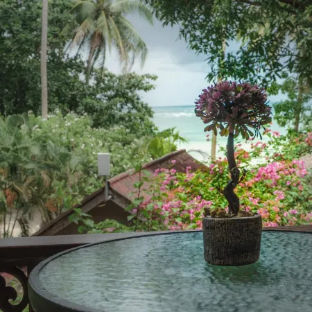 Samma Karuna Beach & Wellness Resort - Intoxicants free