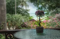 Samma Karuna Beach & Wellness Resort - Intoxicants Free - Ocean View