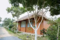 Khu du LICH Sinh THAI HON MAT - Bares