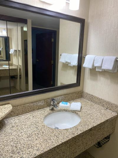 Other Drury Inn & Suites Detroit Troy Photo