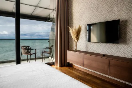 Полёт Чайки