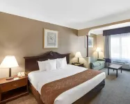 Comfort Suites Plainview