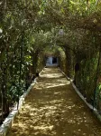 Hotel Sukha Palace Hotels in Pushkar