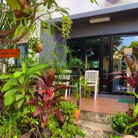 Kohabitat Samui Hostel