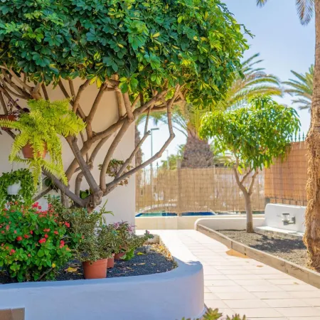 Apartamentos Isla de Lobos - Adults Only