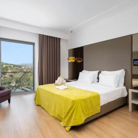 Delfim Douro Hotel