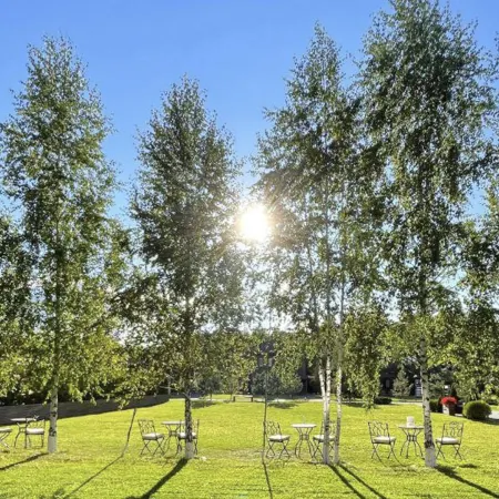 Art Village Club (Арт Вилладж Клаб)