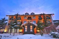 Dedeman Palandoken Ski Lodge Hotel Hotels in 