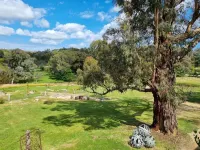 Golden Heritage Accommodation Hotele w: Beechworth