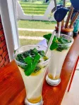 Tranquil Sanctuary Yala - Baarit