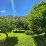 Safir Pansiyon - Bed and breakfasts