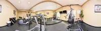 Holiday Inn Express & Suites DALLAS SOUTH - DESOTO by IHG - Gym