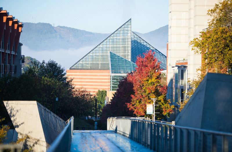 The Westin Chattanooga photo 4