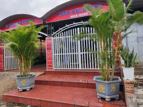 Lavender Garden Phu Quoc