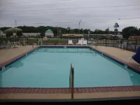 Econo Lodge Inn and Suites - Jackson - Kolam Renang
