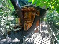 考索樹屋度假村