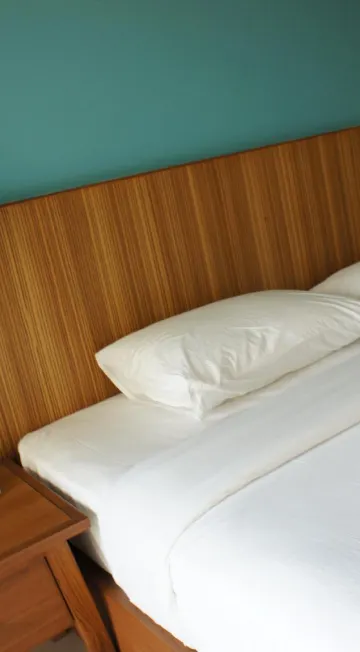 มาตรฐานมินิ