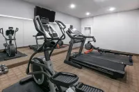 Microtel Inn & Suites by Wyndham Scott Lafayette - palestra