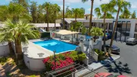 Hotel Siesta Real - Pools