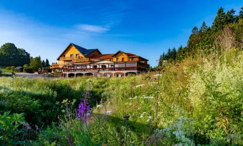Hotel Restaurant Mont Champ du Feu