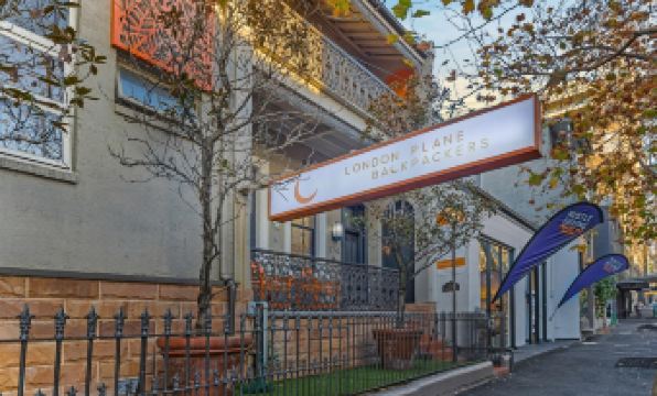 London Plane Backpackers